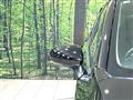 2023 Nissan Note