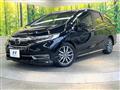 2019 Honda Shuttle
