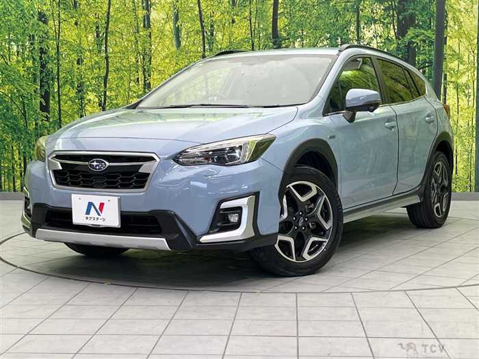 2019 Subaru Subaru Others