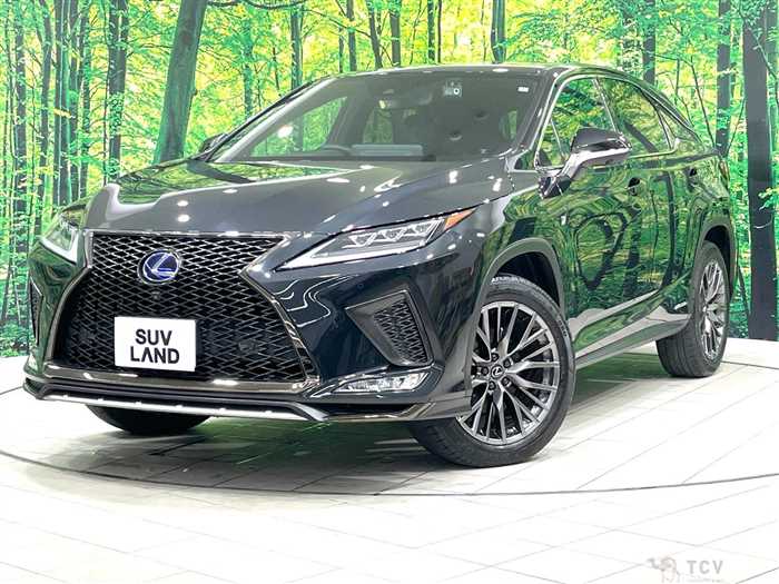 2022 Lexus RX