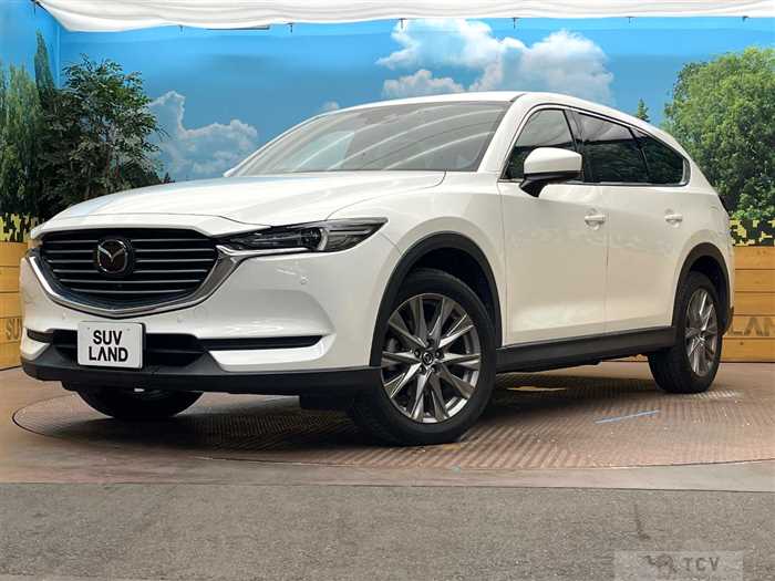 2019 Mazda CX-8