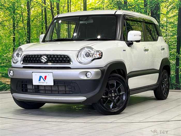 2018 Suzuki Suzuki Others