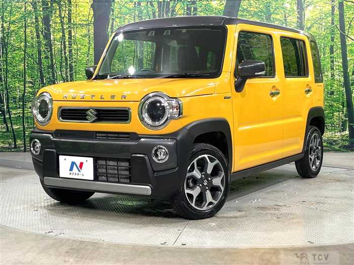 2024 Suzuki Hustler