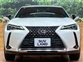 2019 Lexus Other