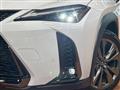 2019 Lexus Other