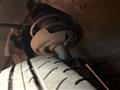 2019 Lexus Other