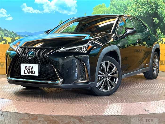 2019 Lexus Other