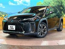 2019 Lexus Other