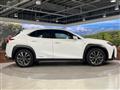 2021 Lexus Other