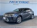 2023 Lexus Other