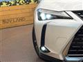 2023 Lexus Other