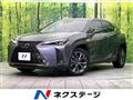 2021 Lexus Other