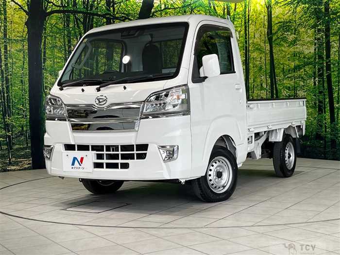 2021 Daihatsu Hijet Truck