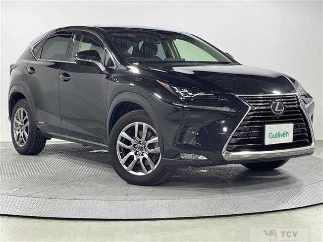 2019 Lexus NX
