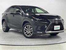 2019 Lexus NX