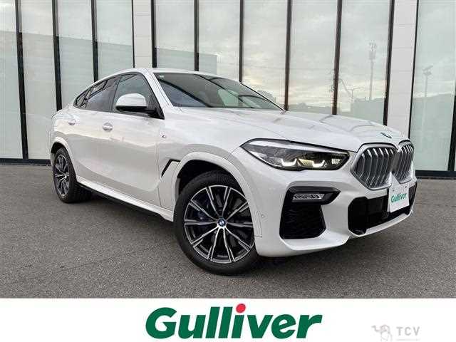 2020 BMW X6