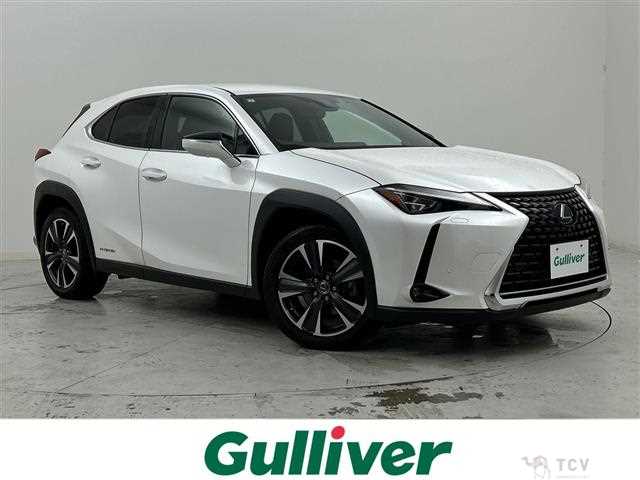 2019 Lexus UX