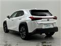 2019 Lexus UX