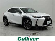 2019 Lexus UX
