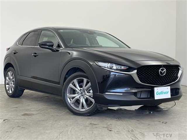 2019 Mazda CX-3