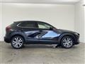2019 Mazda CX-3