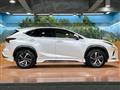 2018 Lexus NX