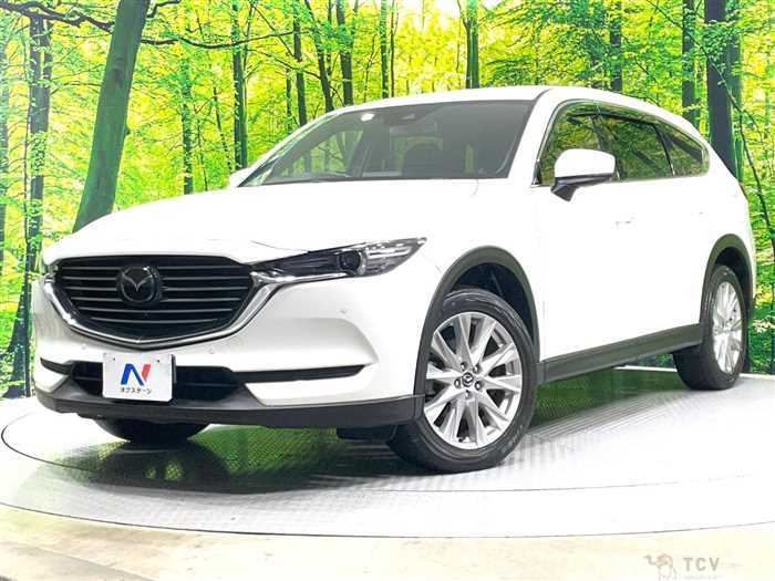 2018 Mazda CX-8