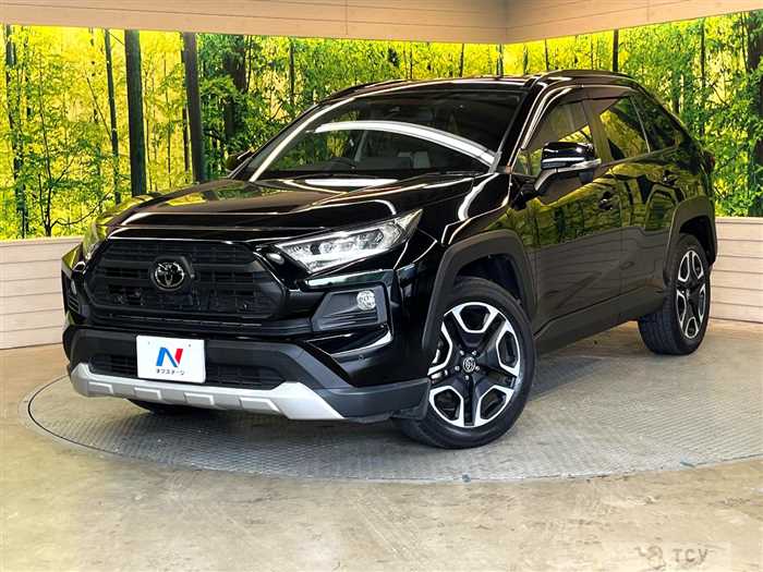 2019 Toyota RAV4