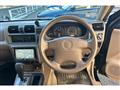 2002 Isuzu Wizard