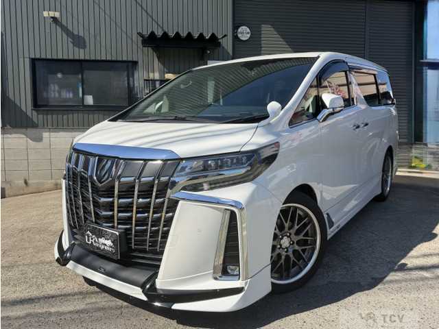 2019 Toyota Alphard G