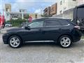 2009 Lexus RX