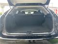 2009 Lexus RX