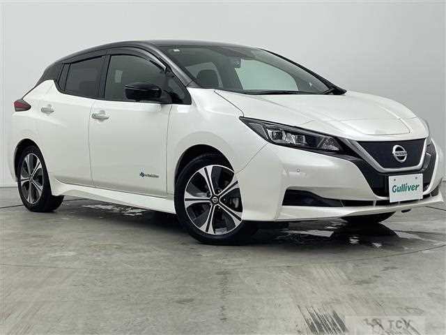 2021 Nissan Leaf