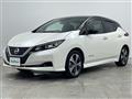 2021 Nissan Leaf