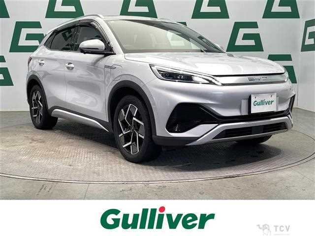 2023 Byd Automobile Others