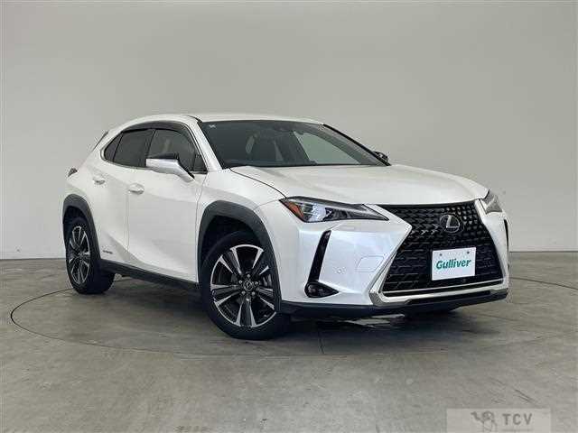 2020 Lexus UX