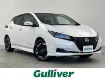 2025 Nissan Leaf