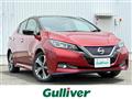 2019 Nissan Leaf