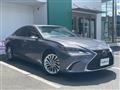 2019 Lexus ES
