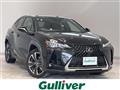 2023 Lexus UX