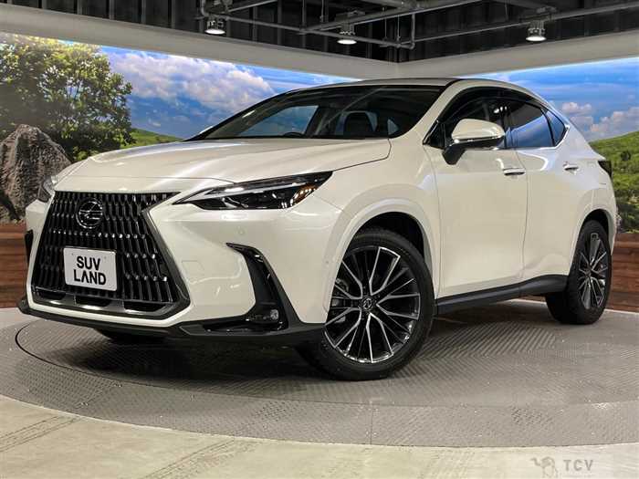 2024 Lexus NX