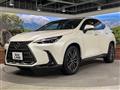 2024 Lexus NX