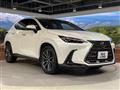 2024 Lexus NX