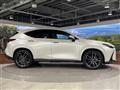 2024 Lexus NX