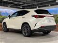 2024 Lexus NX