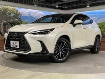 2024 Lexus NX