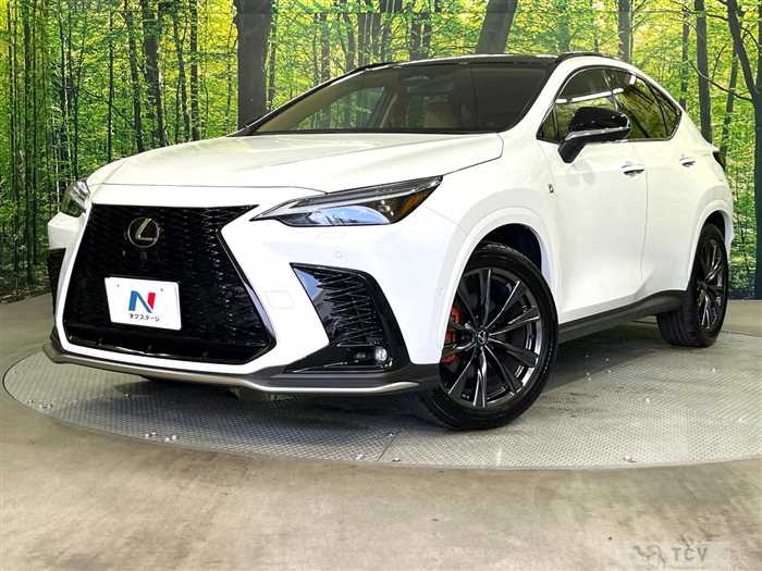 2025 Lexus NX