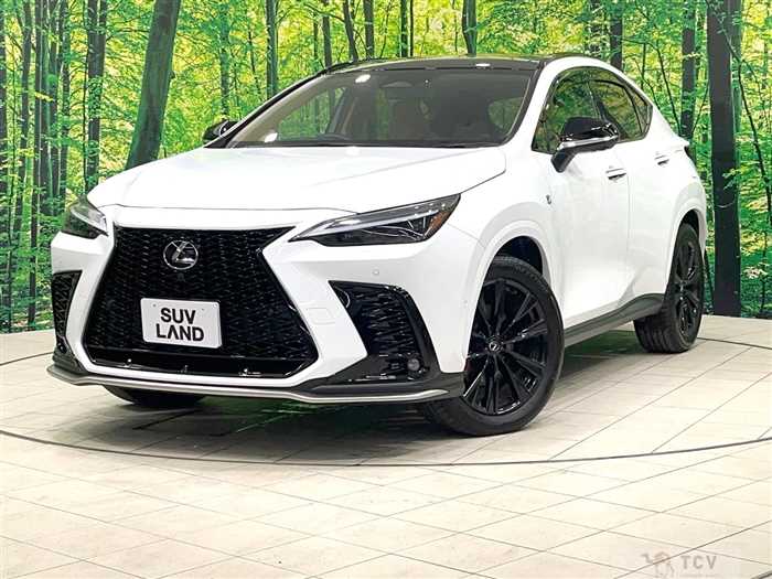 2025 Lexus NX