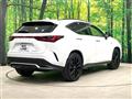 2025 Lexus NX
