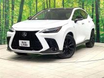 2025 Lexus NX